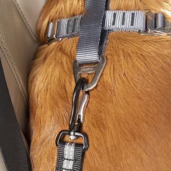 Kurgo Seatbelt Tether with Latch (ISOFIX-Directconnect)